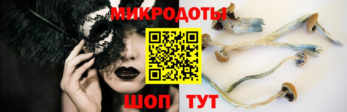 дарнет шоп  Галлюциногенные грибы мицелий  Вход с VPN  Минеральные Воды  Галлюциногенные грибы GOLDEN TEACHER 